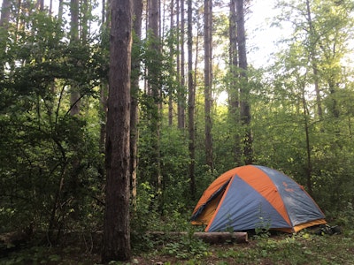 Backpack the Yellow Trail at Sand Ridge State Forest, Sand Ridge State ...