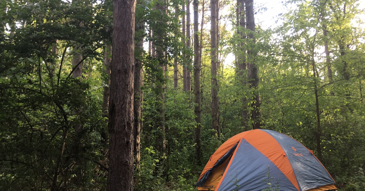 Backpack the Yellow Trail at Sand Ridge State Forest