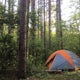 Backpack the Yellow Trail at Sand Ridge State Forest