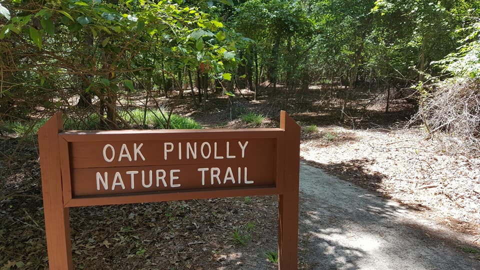 Hike through Santee State Park, Santee, South Carolina