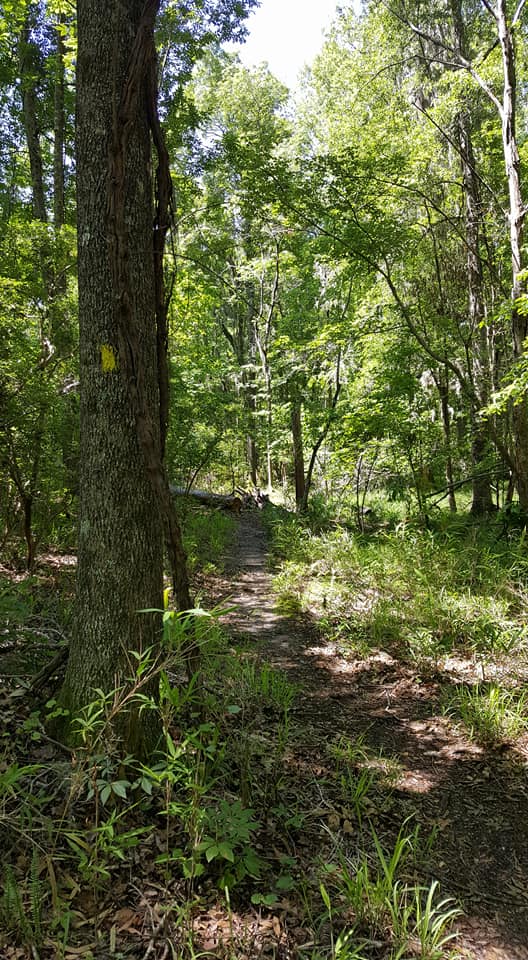 Hike through Santee State Park