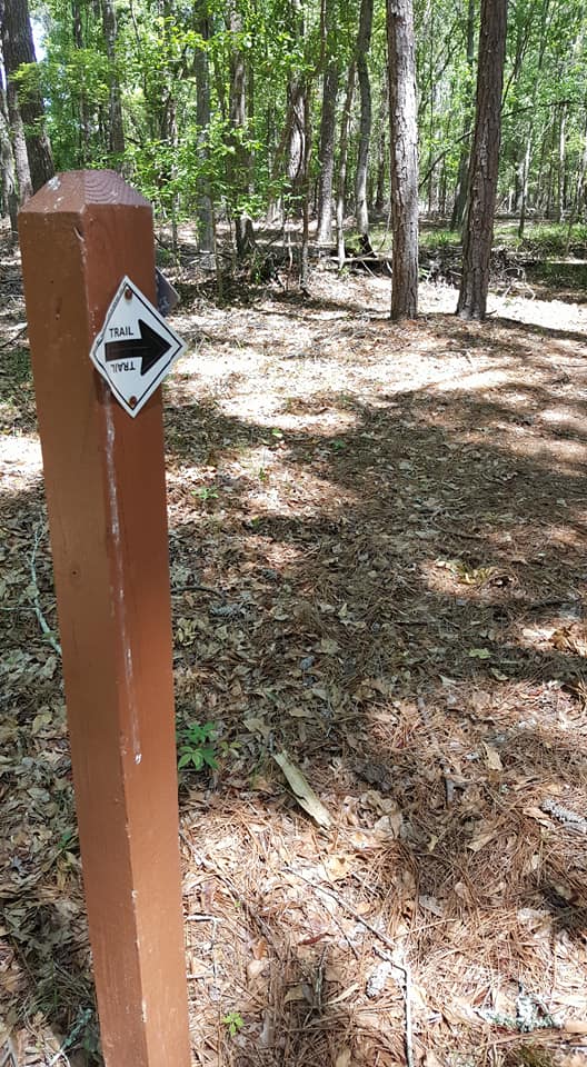 Hike through Santee State Park