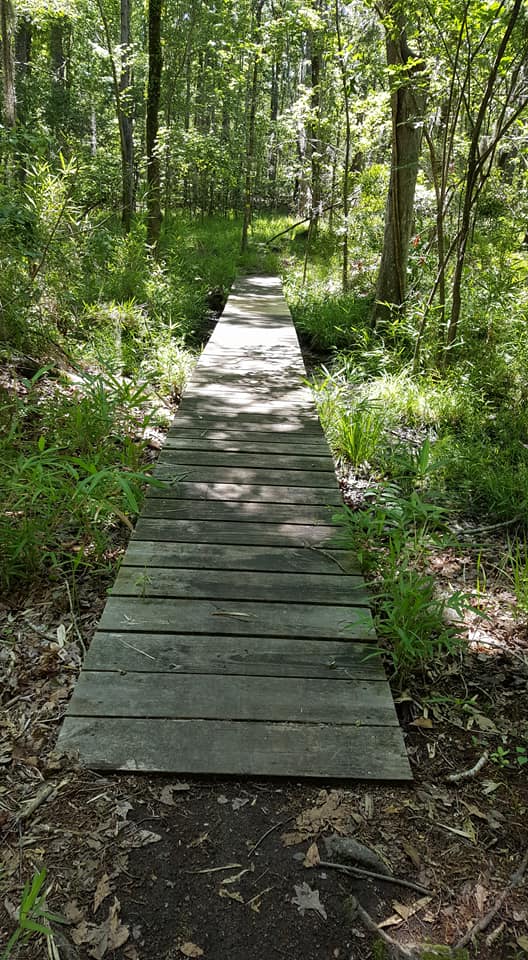 Hike through Santee State Park