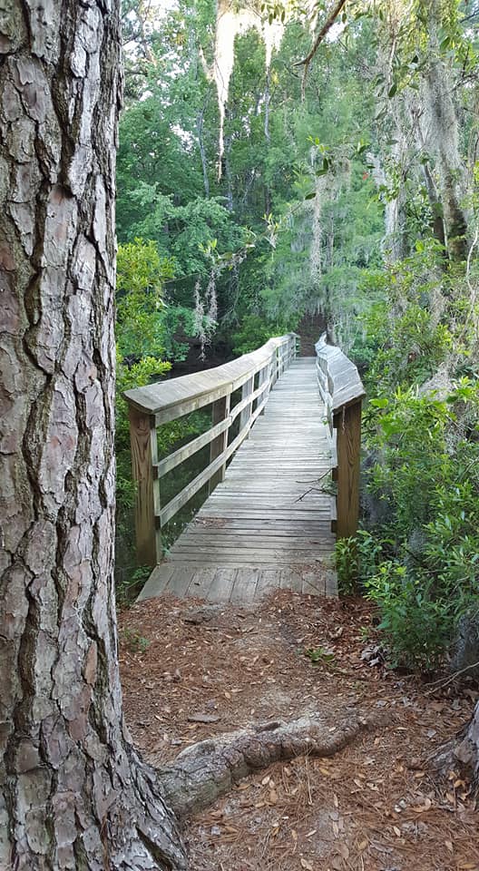 Hike through Santee State Park