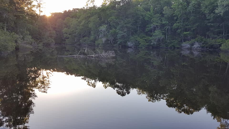 Hike through Santee State Park