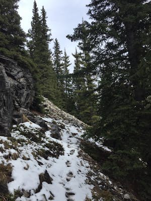 Hike White Buddha via Powderface Trail 