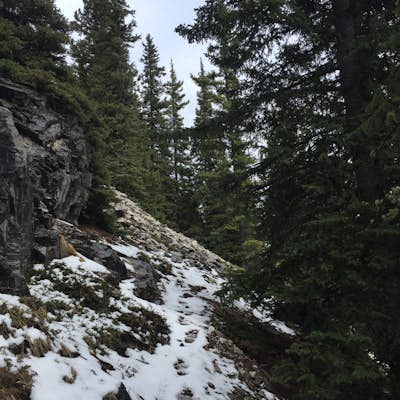 Hike White Buddha via Powderface Trail 