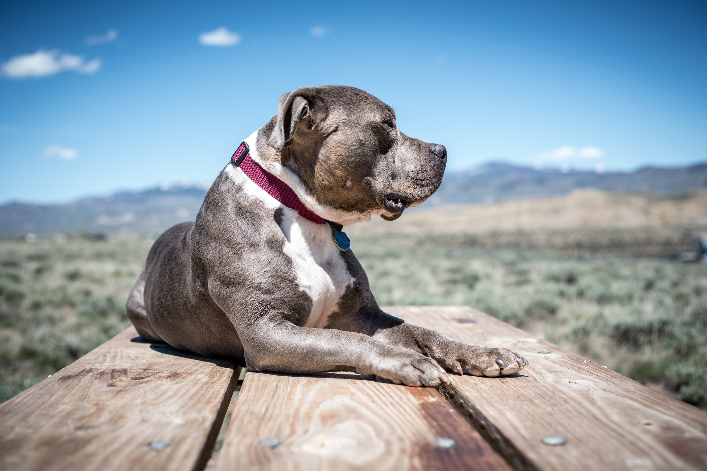 Camp at Wolford Mountain Reservoir