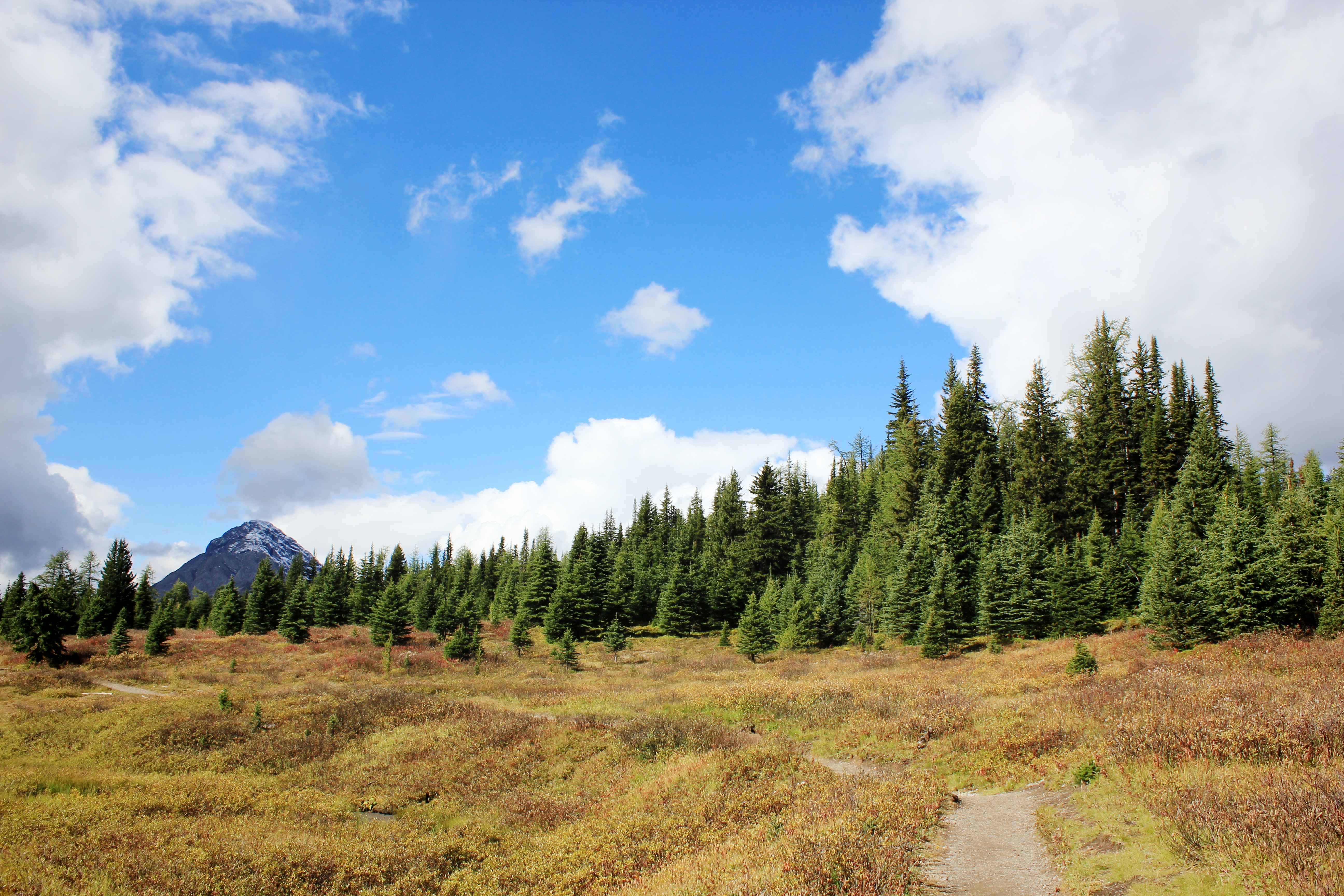 Hike to Chester Lake 