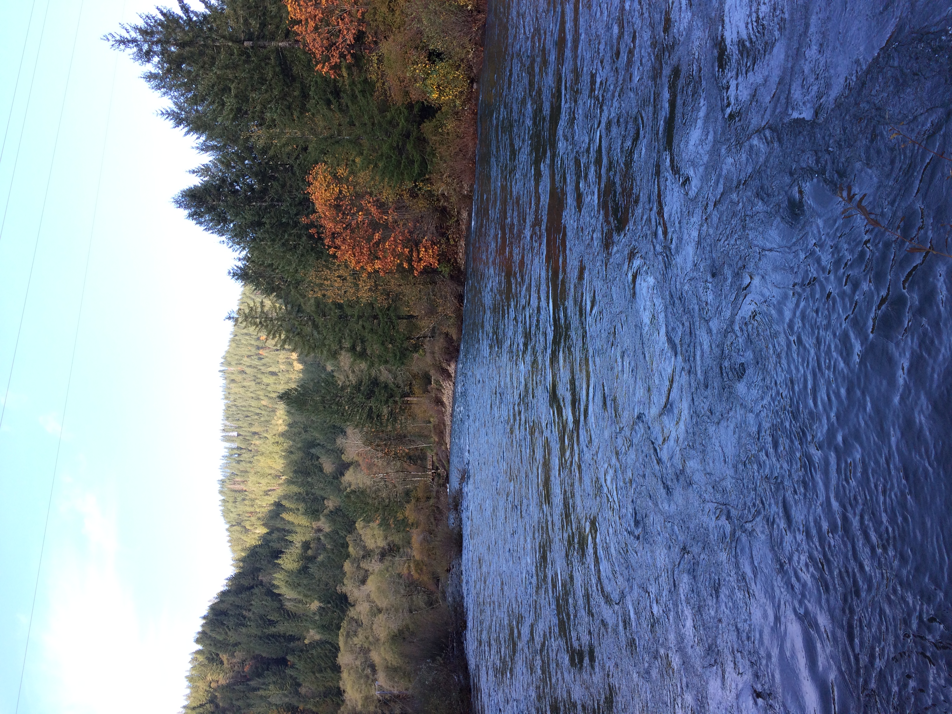 Fly Fish the Wilson River in Oregon