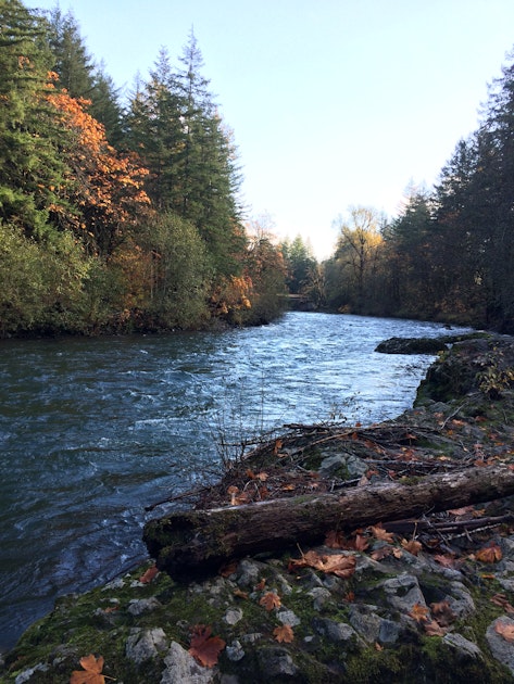 Fly Fish the Wilson River in Oregon, Jones Creek Day Use Area