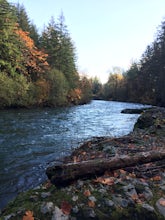 Fly Fish the Wilson River in Oregon