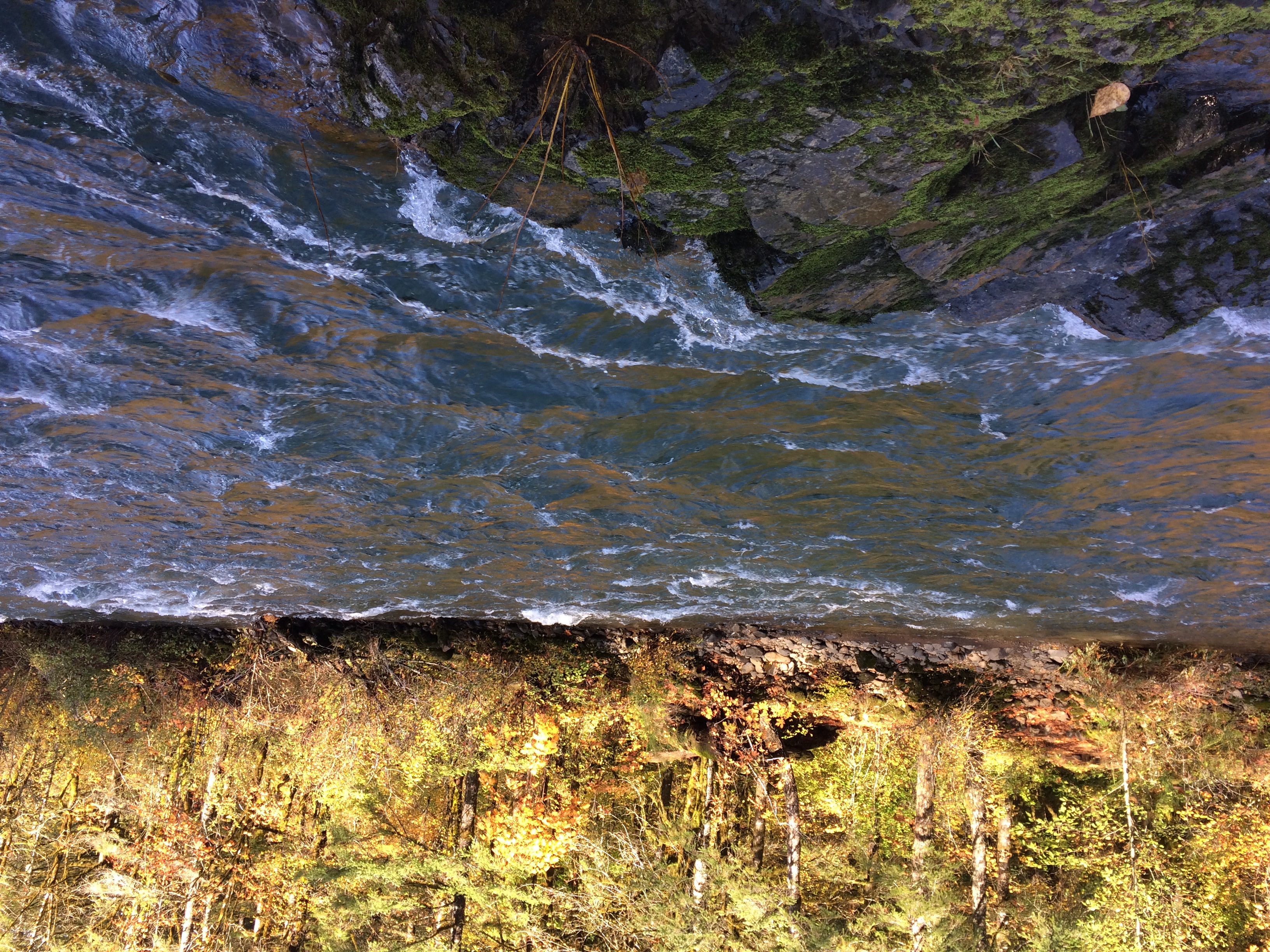 Fly Fish the Wilson River in Oregon