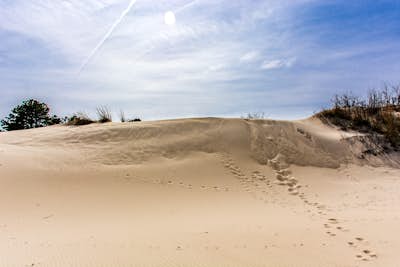 Hike the Walking Dunes Trail