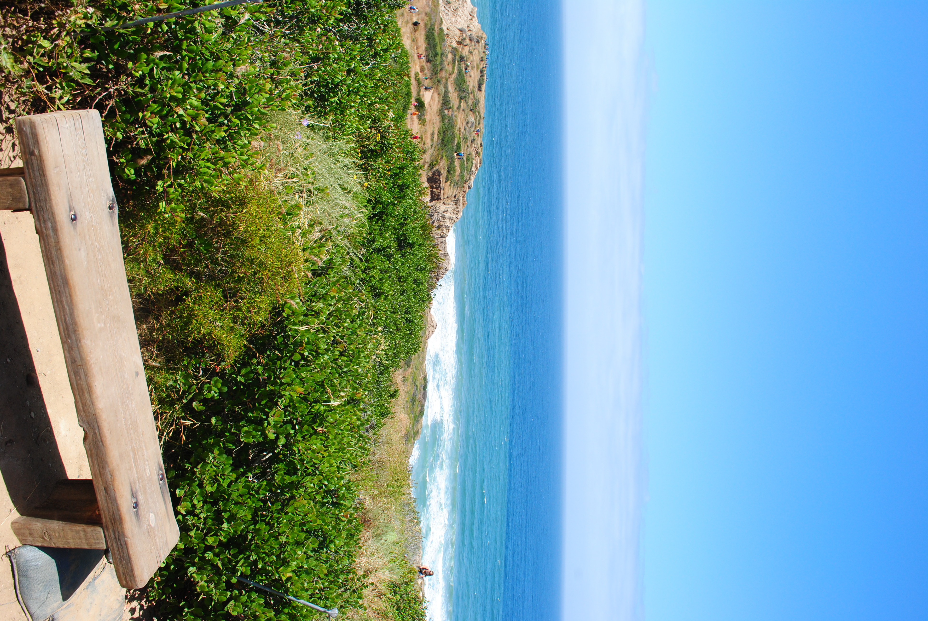 Beach Trail