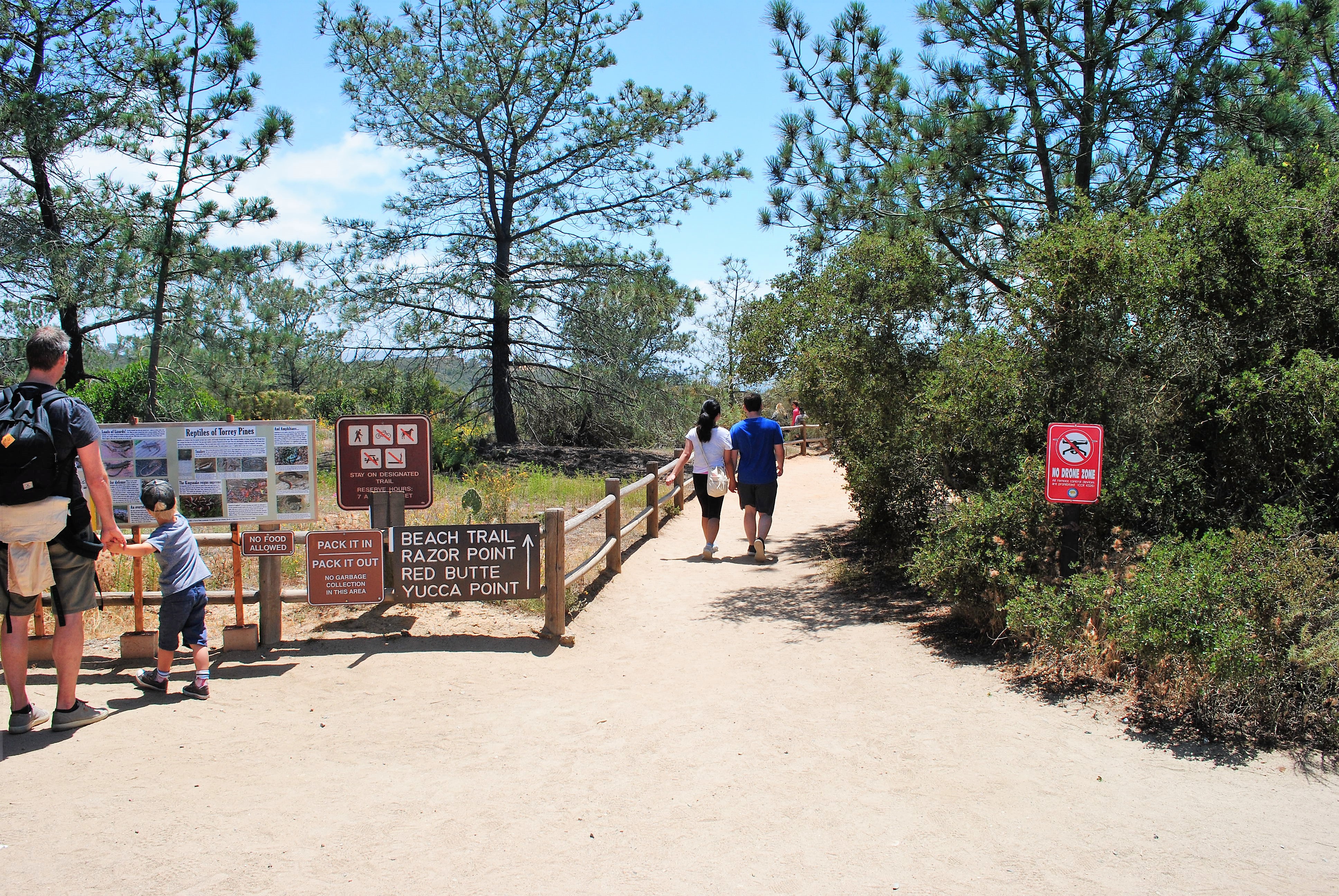 Beach Trail