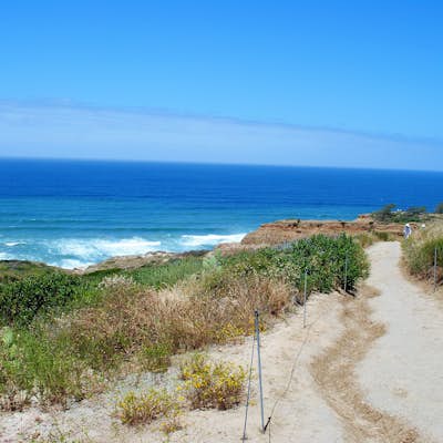 Beach Trail