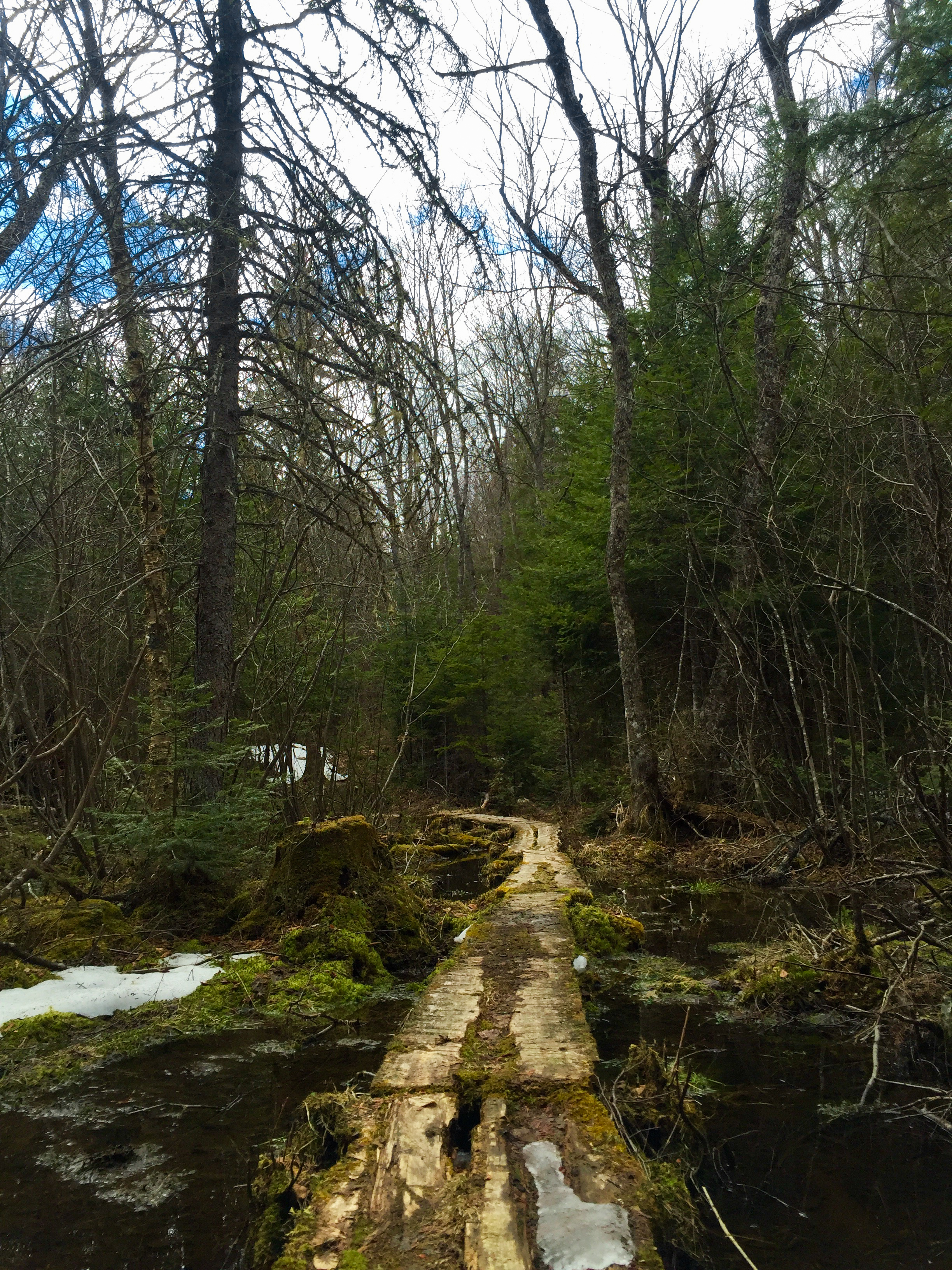 Backpack Highland Trail in Algonquin Provincial Park