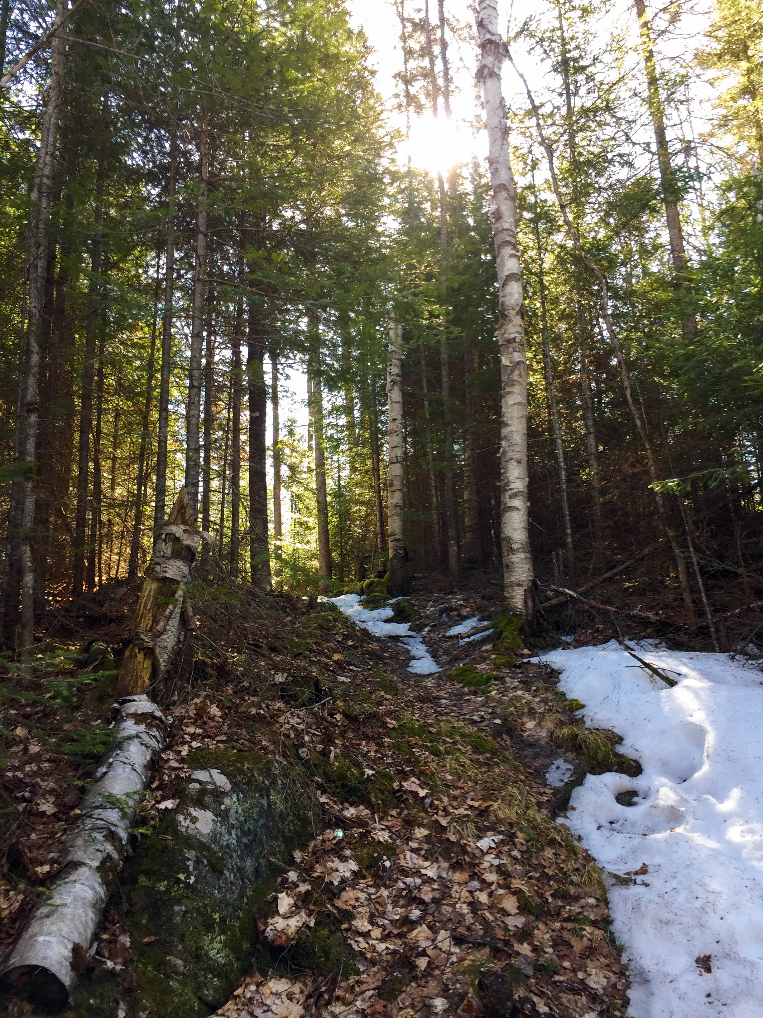Backpack Highland Trail in Algonquin Provincial Park
