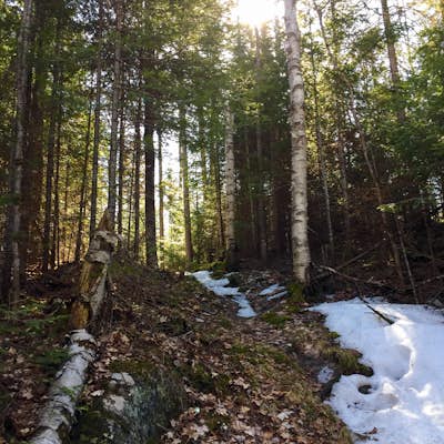 Backpack Highland Trail in Algonquin Provincial Park