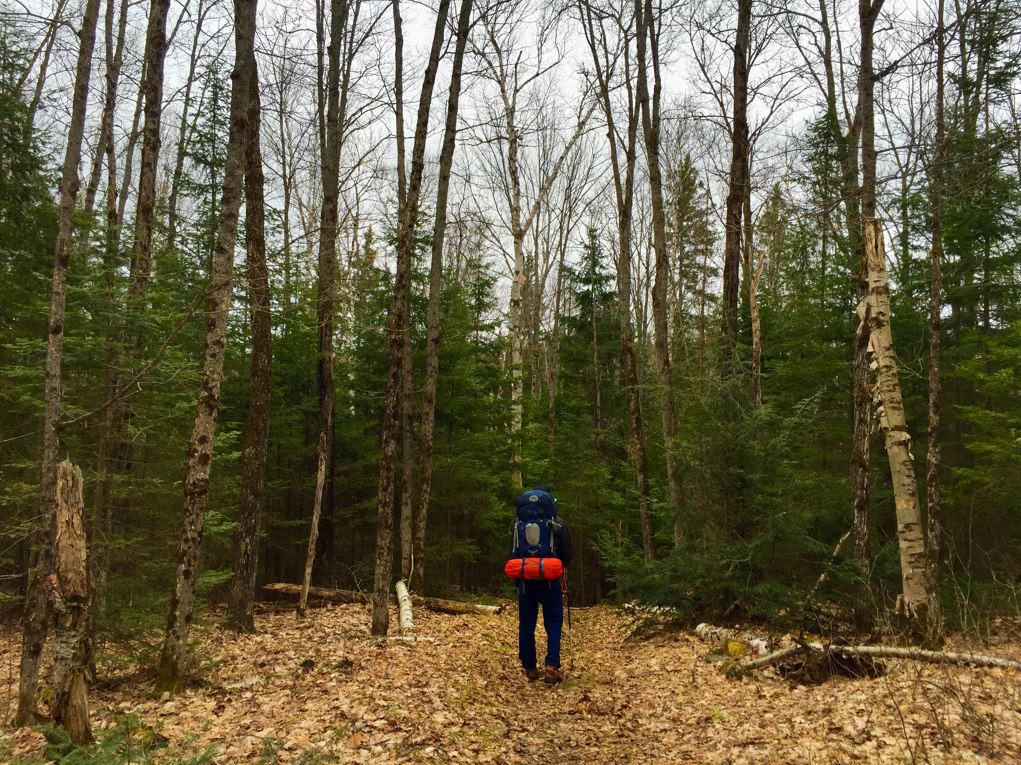 Backpack Highland Trail in Algonquin Provincial Park