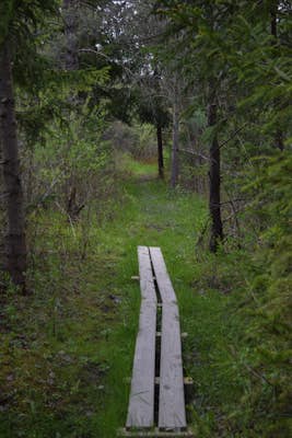Hike the Eldridge Wilderness Loop