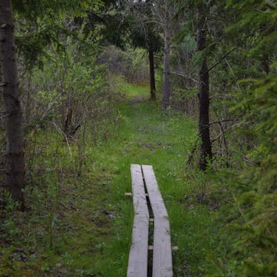 Hike the Eldridge Wilderness Loop