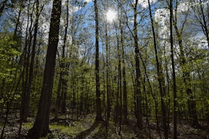 Hike the Eldridge Wilderness Loop