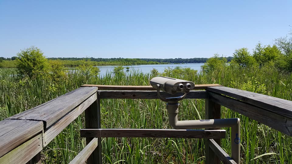 Hike Santee National Wildlife Refuge