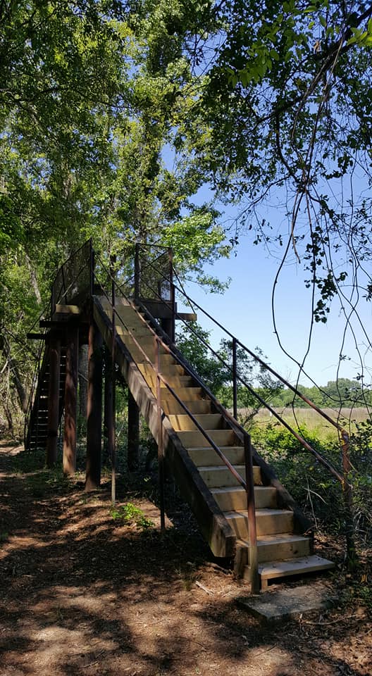 Hike Santee National Wildlife Refuge