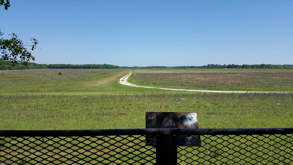 Hike Santee National Wildlife Refuge
