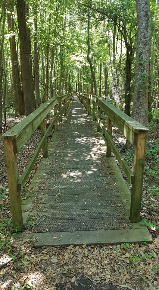 Hike Santee National Wildlife Refuge