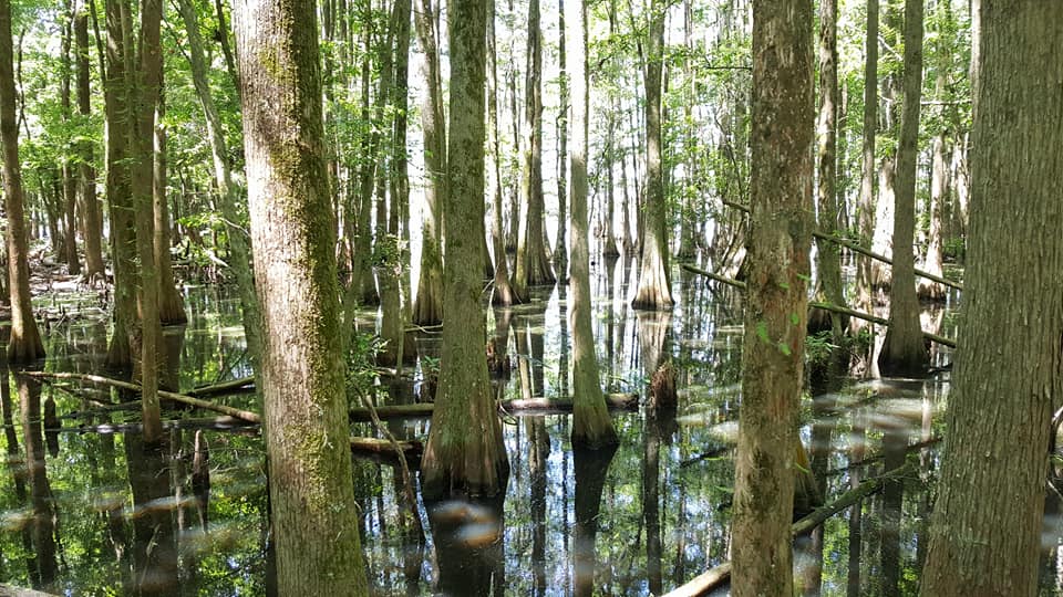 Hike Santee National Wildlife Refuge