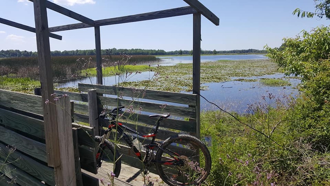 Paddle Poplar Creek on Lake Marion, Santee State Park Boat Ramp