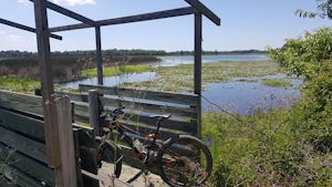 Bike the Marsh at Santee National Wildlife Refuge - Bluff Unit
