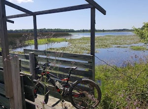 Bike the Marsh at Santee National Wildlife Refuge - Bluff Unit
