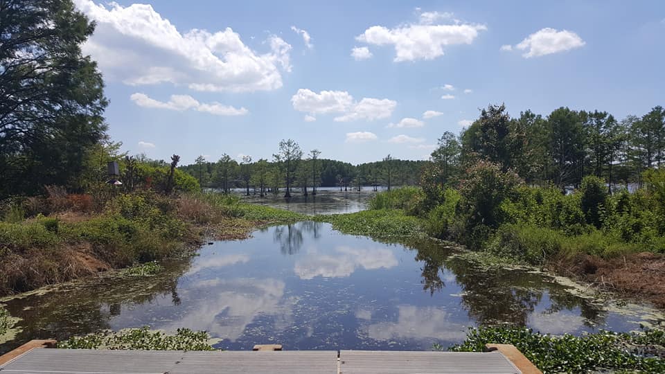 Bike the Marsh at Santee National Wildlife Refuge - Bluff Unit