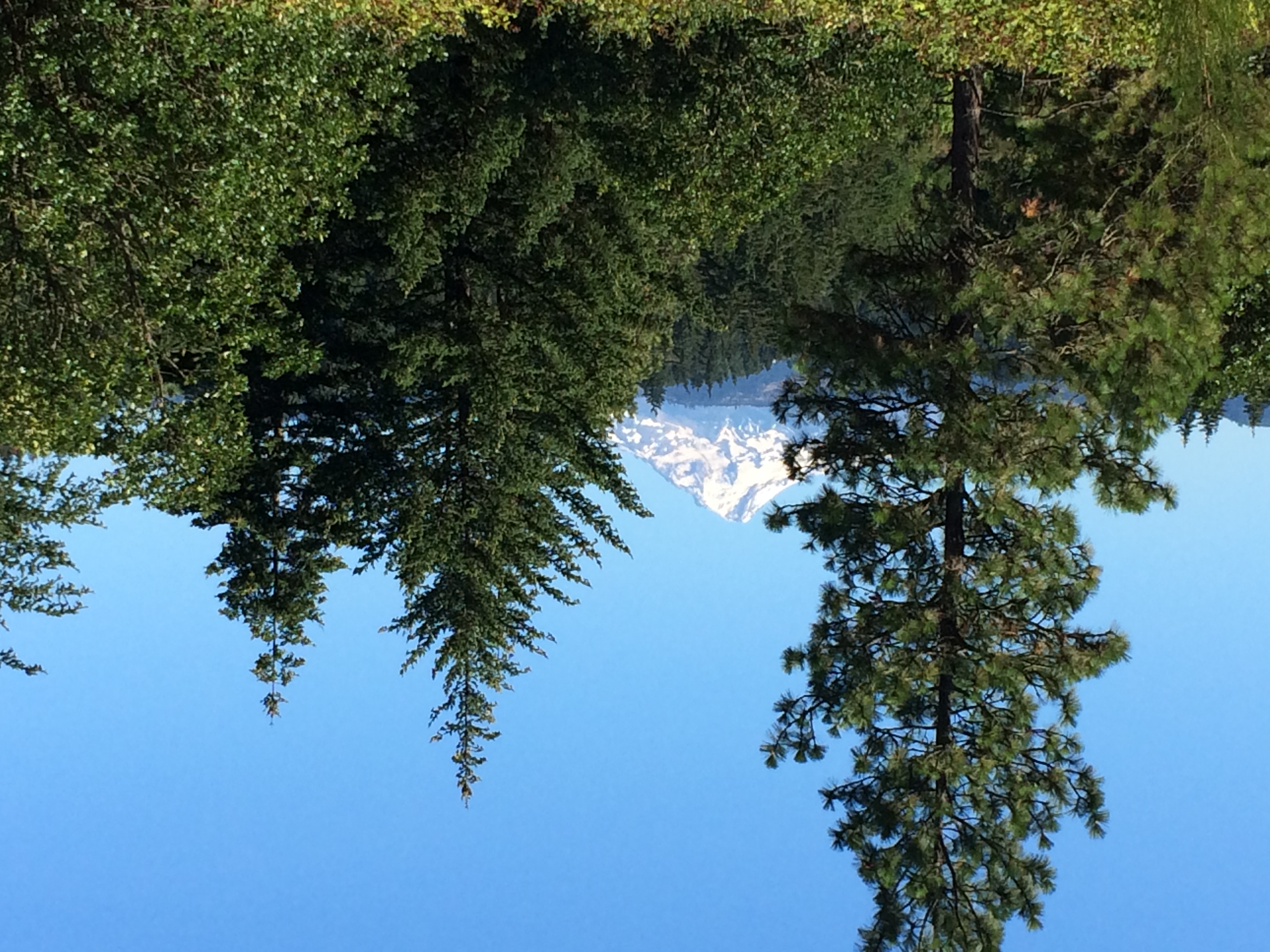 Dry Fly Fishing the East Fork of Hood River