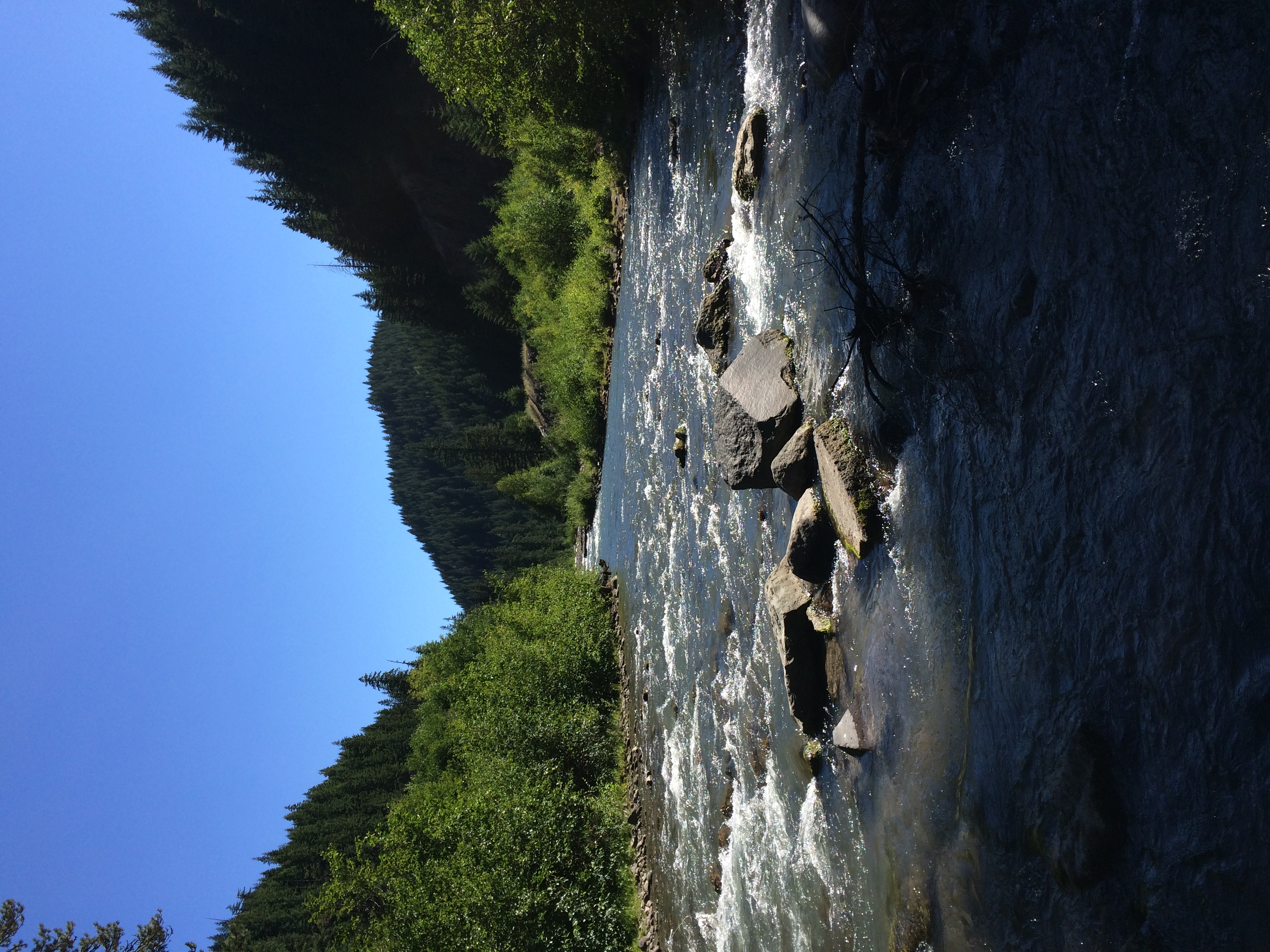 Dry Fly Fishing the East Fork of Hood River