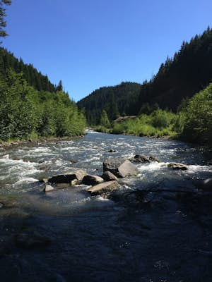 Dry Fly Fishing the East Fork of Hood River