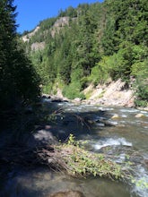 Dry Fly Fishing the East Fork of Hood River