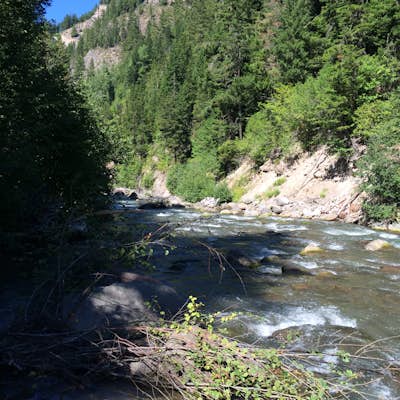 Dry Fly Fishing the East Fork of Hood River