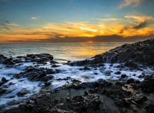 The Top 4 Places to Explore Tide Pools in Laguna Beach