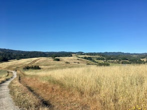 Hike the Arastradero Preserve Loop