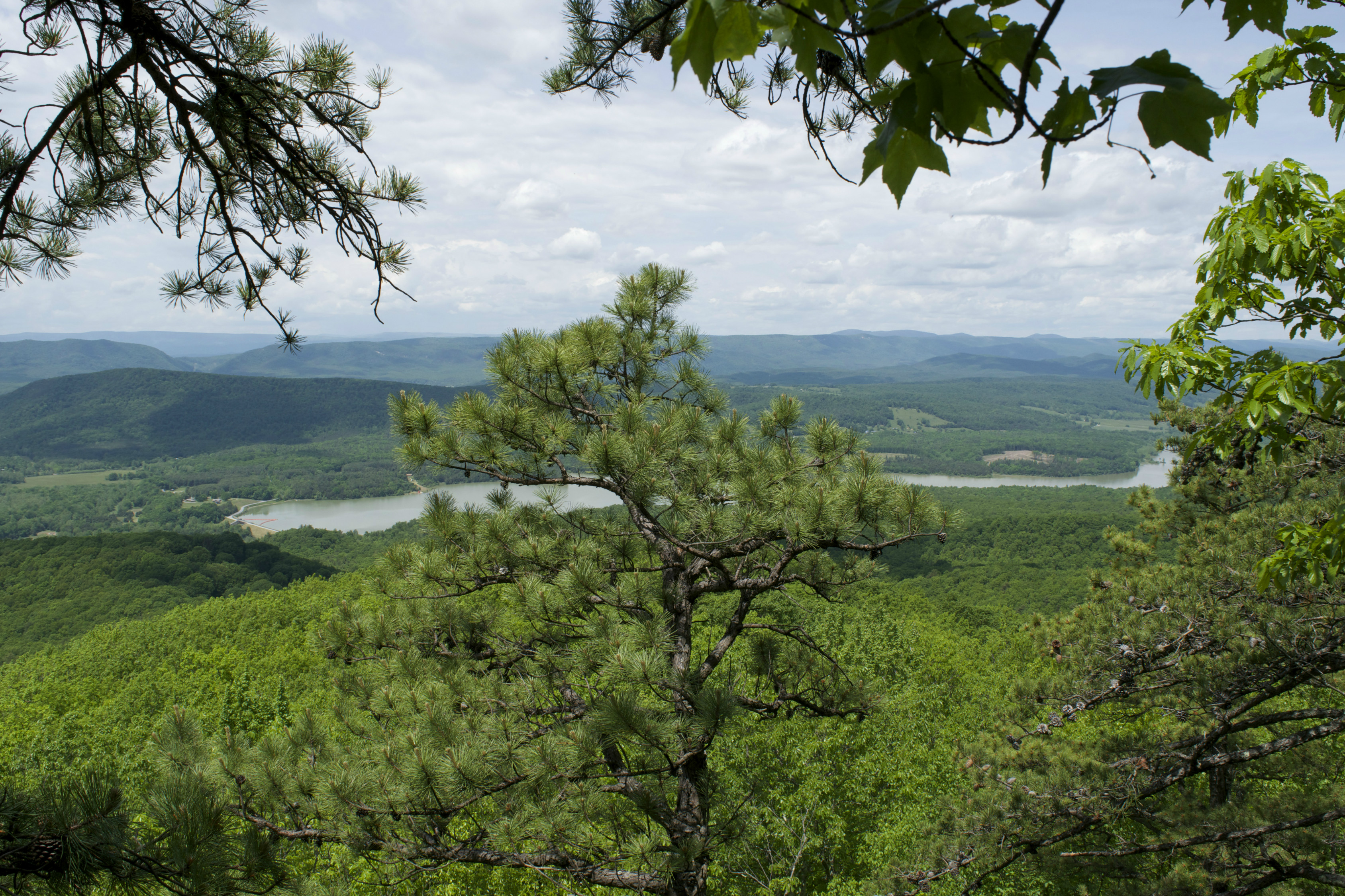 Hike Goshen Pass
