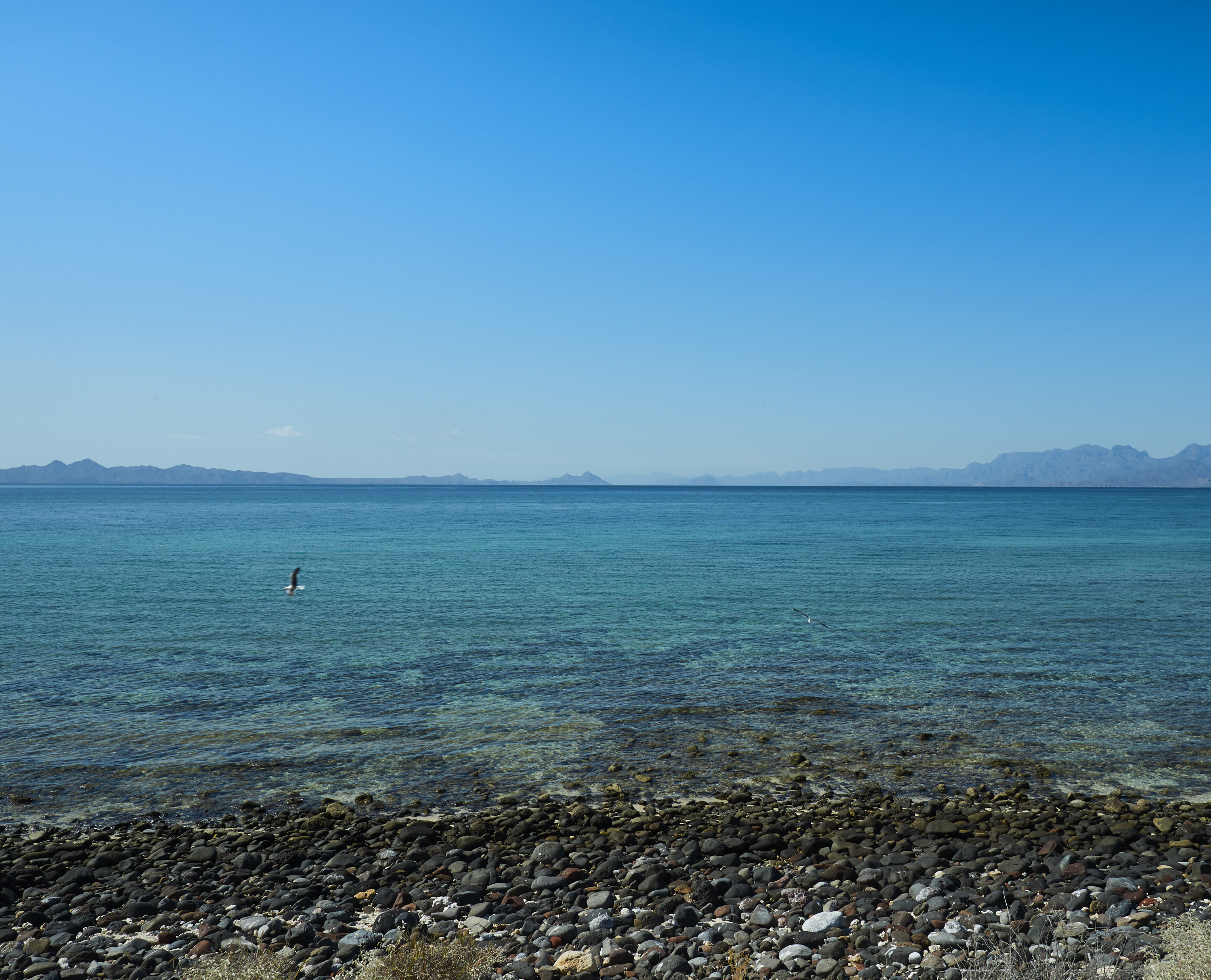 Kayak Coronado Island in Loreto Bay