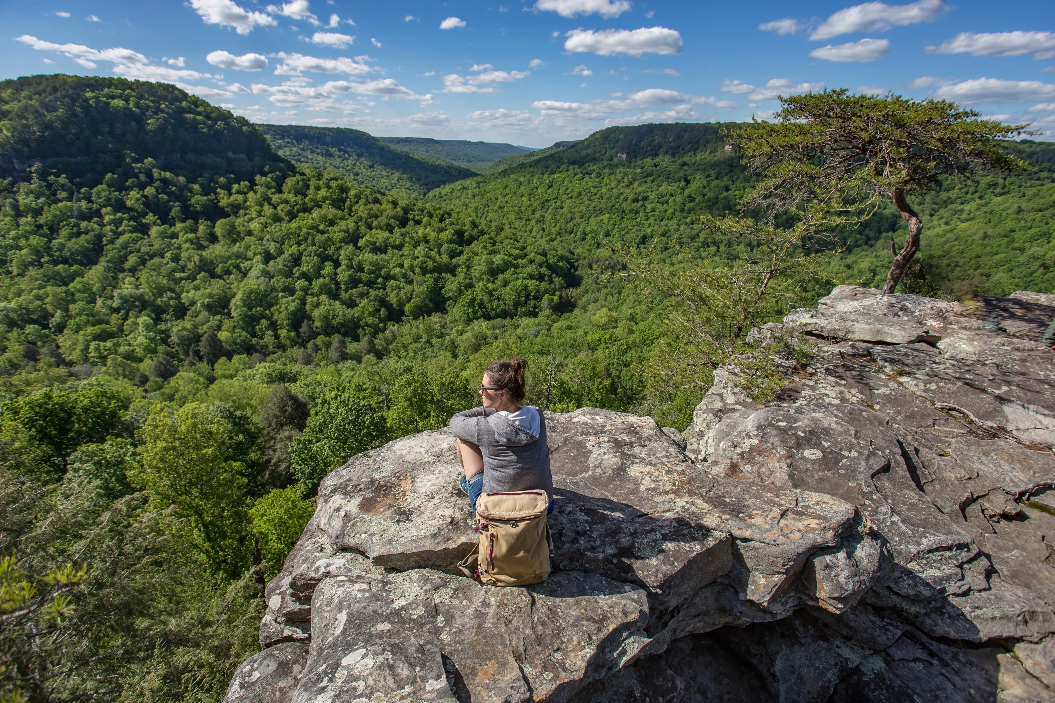 Photograph Buzzard's Roost Overlook