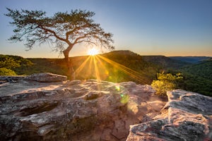 Photograph Buzzard's Roost Overlook