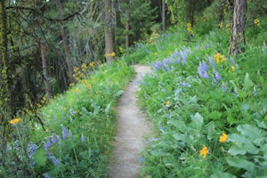 Hike Sauer’s Mountain