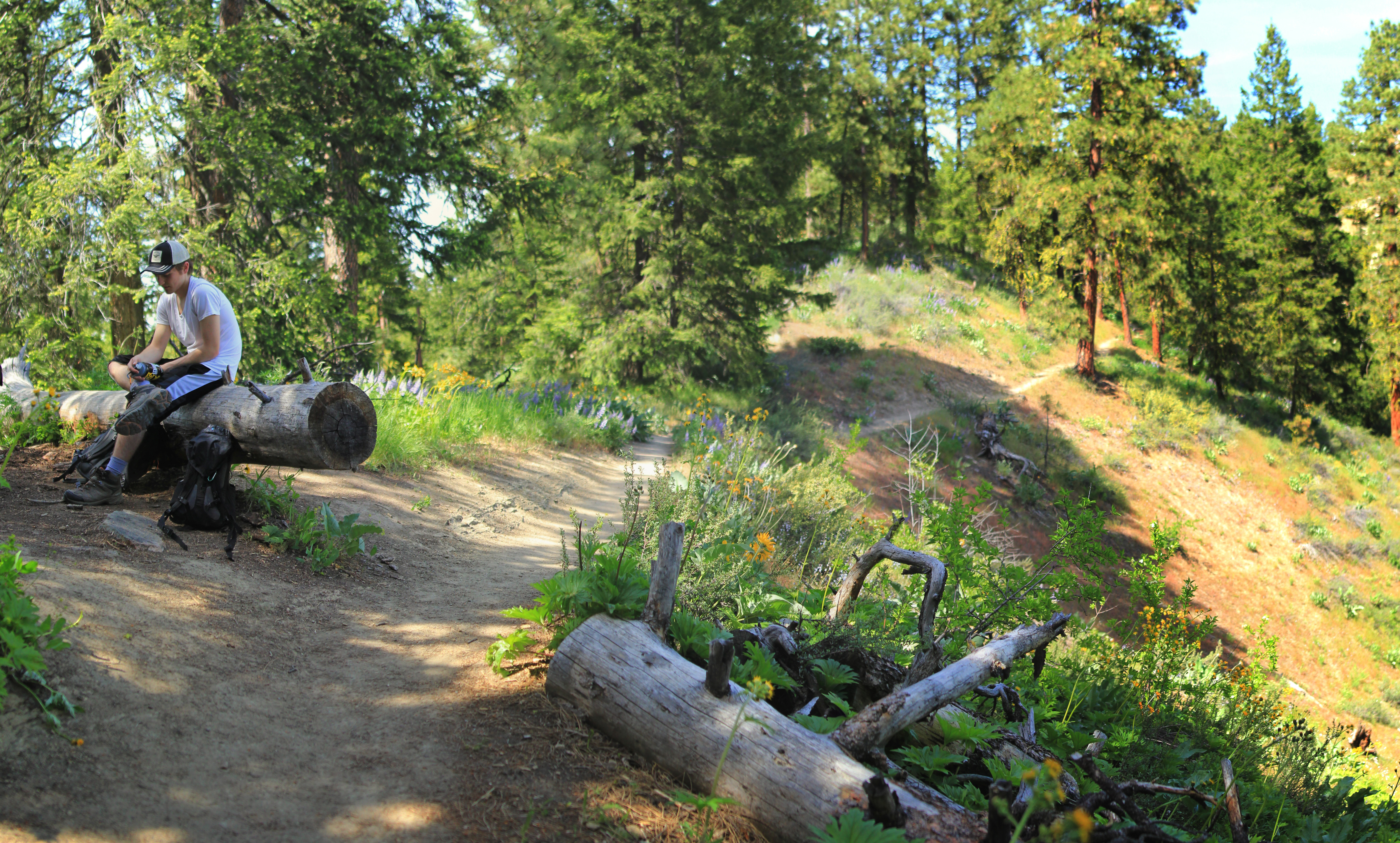 Hike Sauer’s Mountain